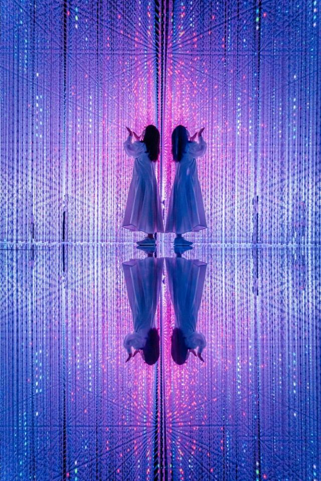 TeamLab Museum für grenzenlose digitale Kunst, Tokio