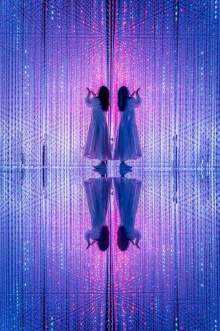 TeamLab Museum für grenzenlose digitale Kunst, Tokio