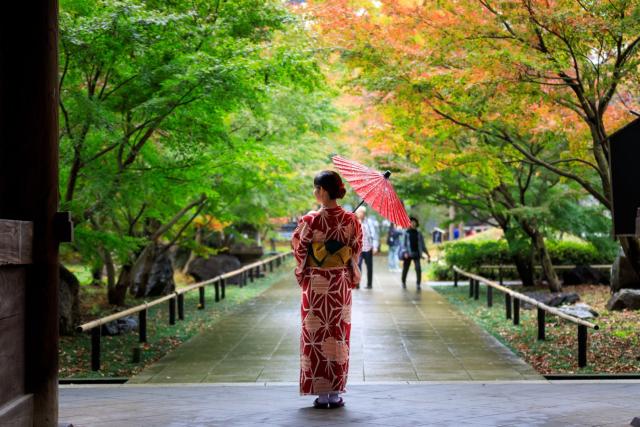 Japanische Frau in einem roten Kimono, die einen Regenschirm hält und gemächlich durch einen öffentlichen Park mit Herbstblättern in Japan geht