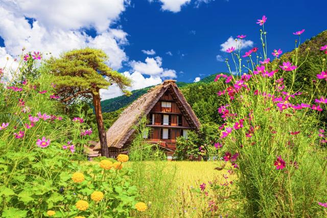 Traditionelle Bauernhäuser im Sommer, Shirakawago