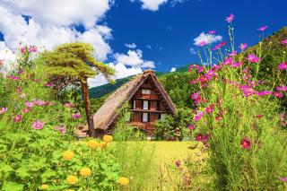 Traditionelle Bauernhäuser im Sommer, Shirakawago