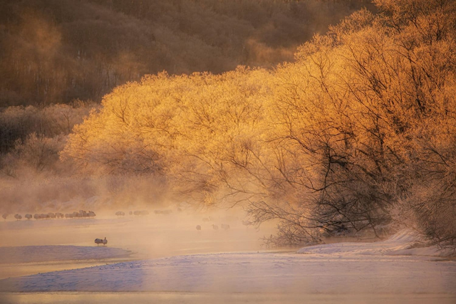 Wintermorgenszene in Hokkaido