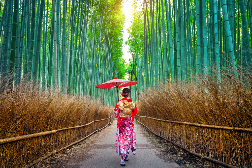 Der Arashiyama-Bambushain, Kyoto
