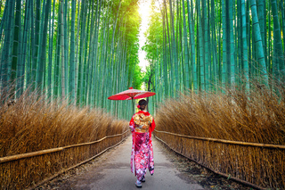 Der Arashiyama-Bambushain, Kyoto 