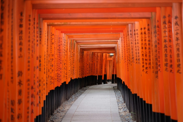 Die lange Reihe der Toori-Tore am Fushimi-Inari-Schrein, Kyoto
