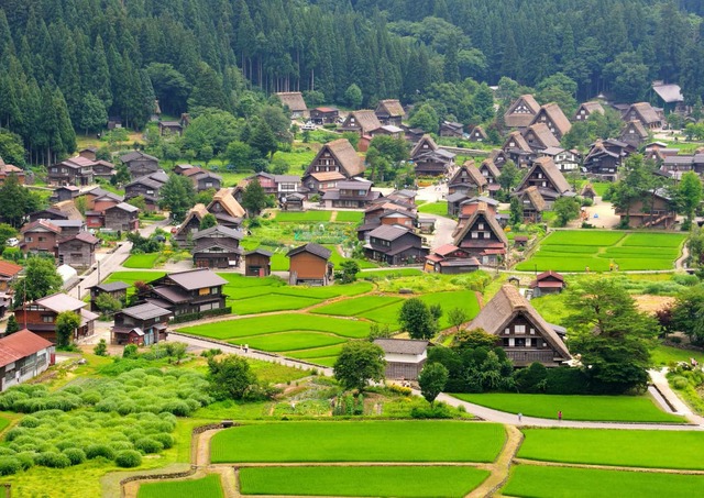 Das Dorf Ogimachi im Sommer