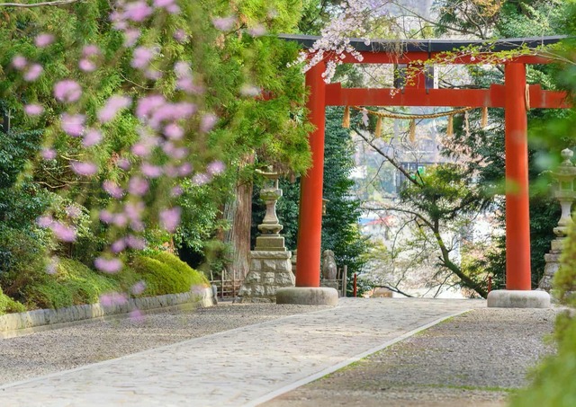 Torii-Tor, Osaki-Hachimangu-Schrein, Sendai