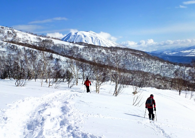 Skifahren abseits der Pisten in Niseko