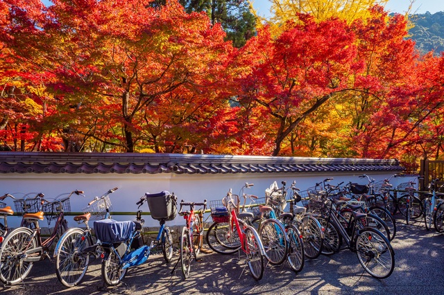 Fahrräder in Kyoto