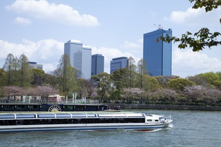 Hafenbus