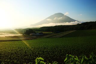 Mt. Yotei im Sommer, Niseko
