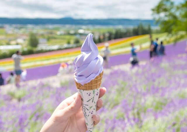 Hokkaido-Eis in den Blumenfeldern von Furano