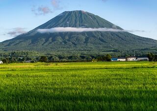 Mt. Yotei mit Reisfeldern, Hokkaido