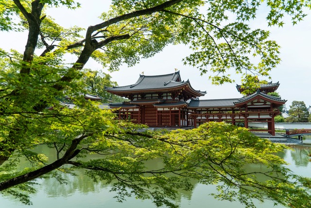 Byodo-in-Tempel mit japanischem Ahorn, Uji 