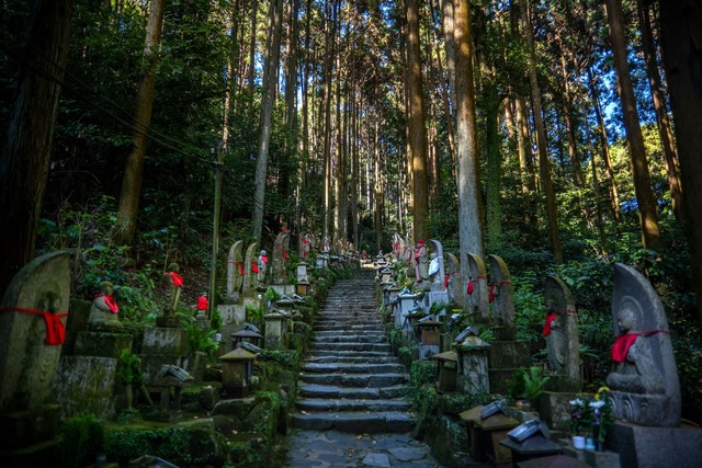 Der Okunoin-Friedhof auf dem Mt. Koya zählt zu den bedeutendsten buddhistischen Stätten Japans und liegt inmitten eines dichten Zedernwaldes. 